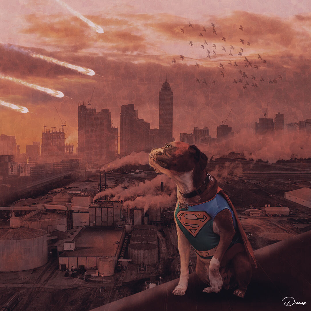 Superhero Dog Composite